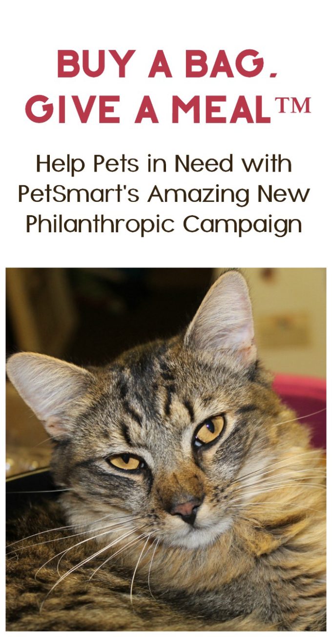 PetSmart celebrates 30 years with their biggest philanthropic campaign ever! Find out how you can help animals in need with Buy a Bag, Give a Meal™