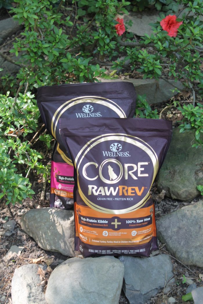 Support your active dog with Wellness CORE RawRev!