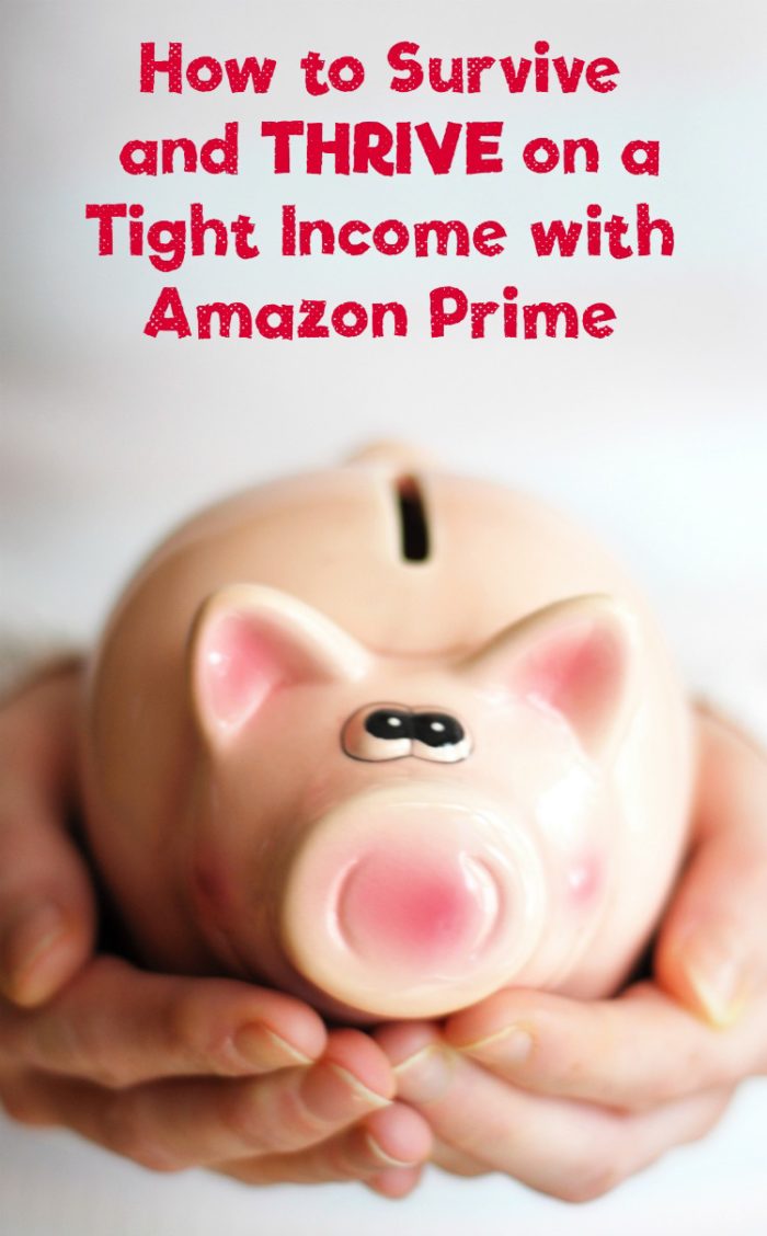 Check out all the ways Amazon Prime helps my family survive AND thrive on an extremely tight budget! 