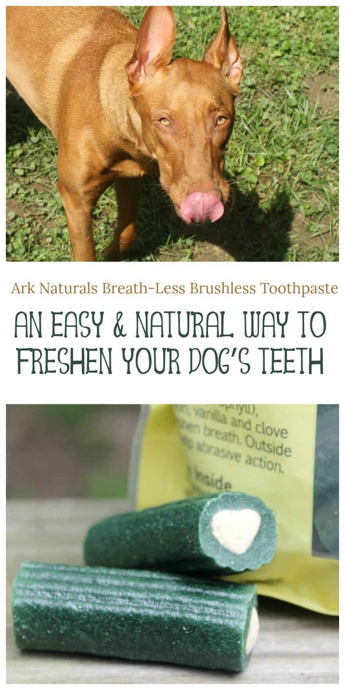 My Dogs Love Ark Naturals Breath-Less Brushless Toothpaste (and So Do I!)
