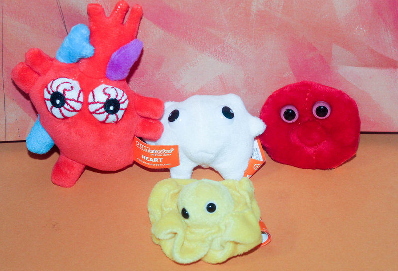 Here's Why GIANTMicrobes Make the Perfect "Anytime" Gift!