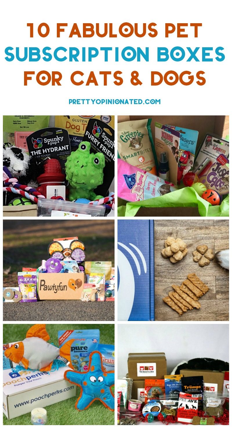 Treat your furry friend to fun surprises every month with these 10 pet subscription boxes that your cats and dogs will absolutely love! Let's check them out!
