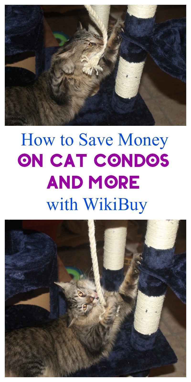 How Does Wikibuy Save You Money Pretty Opinionated