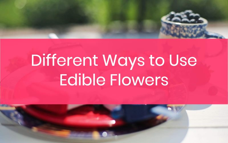 Different Ways to Use Edible Flowers