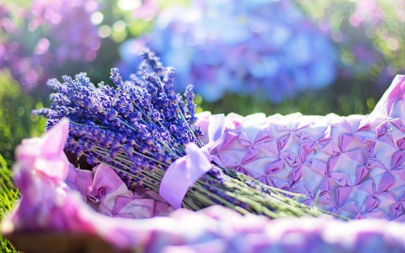 Lavender has many uses around the home, including as parts of recipes. English lavender varieties (Lavender angustifolia) have the best flavor for recipes, which range from sweet to savory.