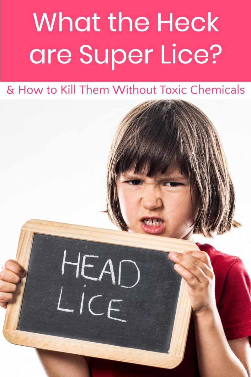 What the heck are super lice and how to you kill them without toxic chemicals? Read on for your complete guide to combating these creepy crawlers...just in time for summer camp season!