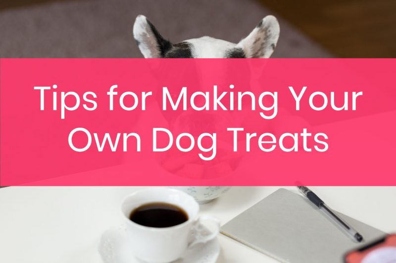 Tips for making homemade dog treats