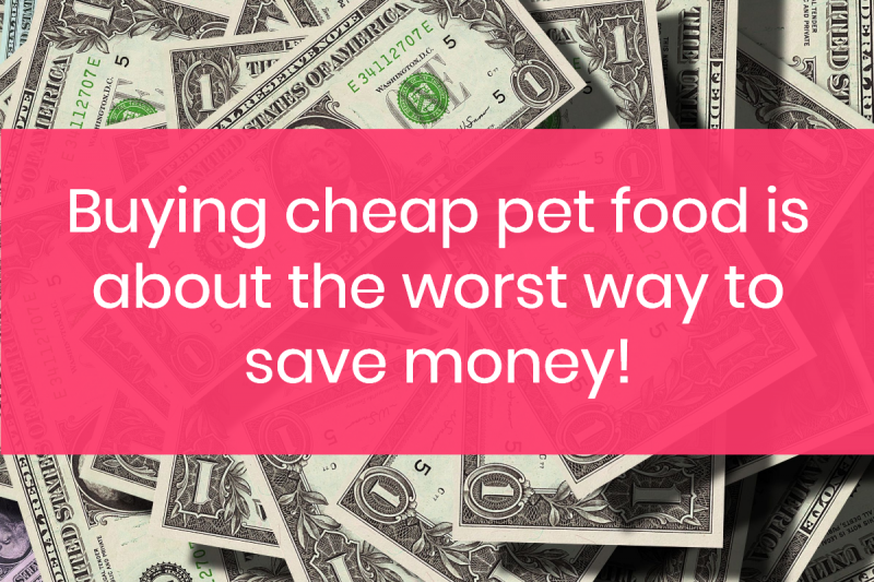 10 Ways You're Wasting Money (Even When You Think You're Saving It)