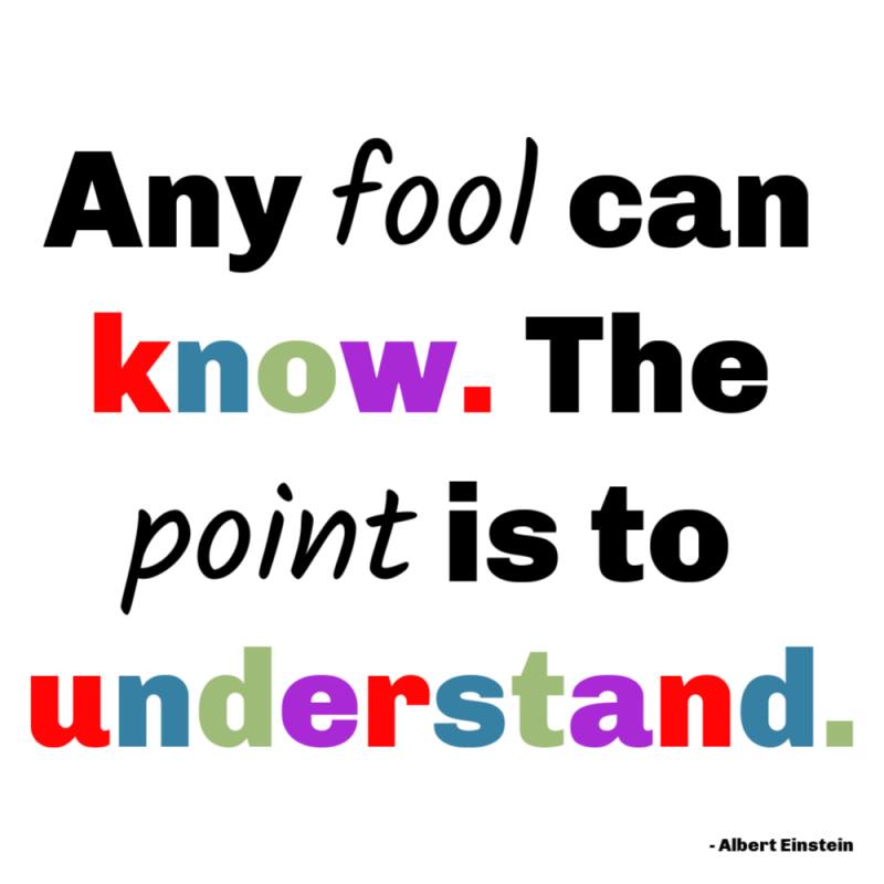 Back to School Quotes | Any fool can know. The point is to understand.” - Einstein