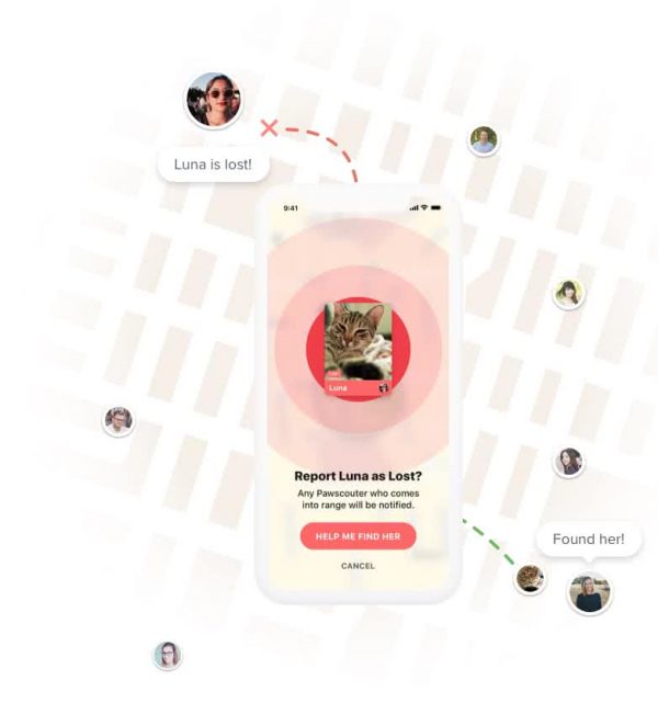 The App That Helps You Find Your Lost Pet Fast (+Interview with PawScout CEO)