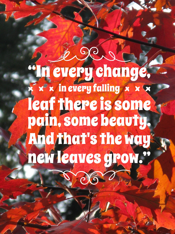 9 Welcome, Autumn: Quotes About My Favorite Season | Pretty Opinionated