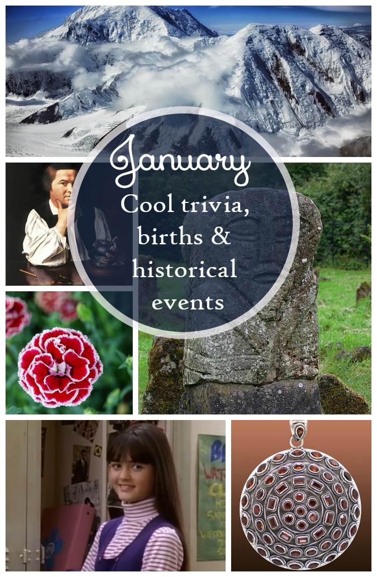 Fun Trivia Facts About January