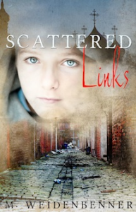 Scattered Links Book Tour: Excerpt