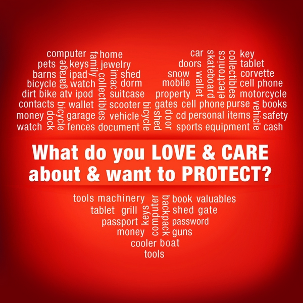 Protect All You Love with Master Lock and American Red Cross #MasterLockProtects