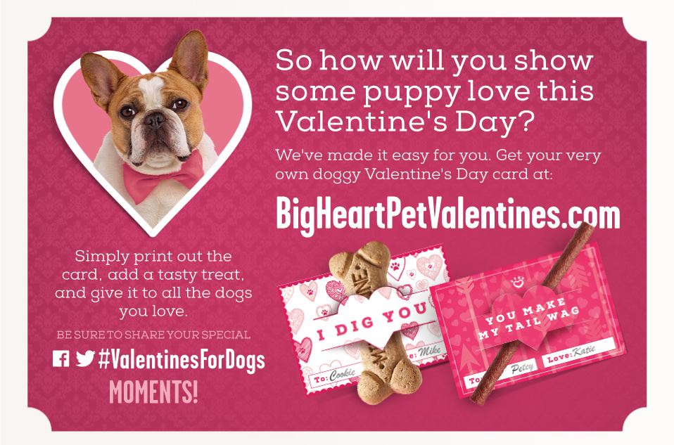Valentine’s for Dogs – Say I LOVE YOU with treats!