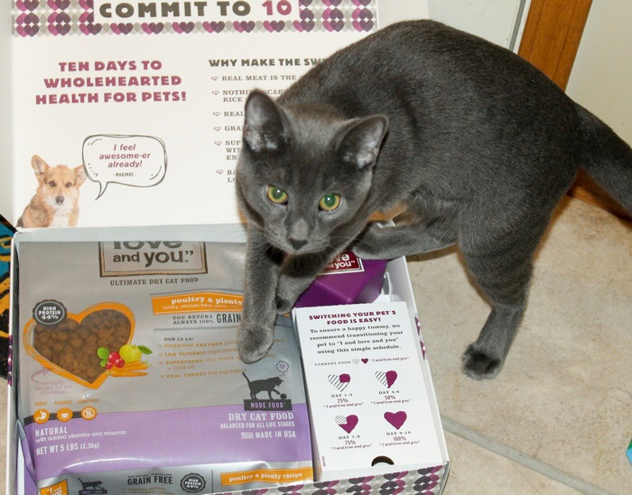 Treat Your Cat to Wholesome Nutrition with “I and love and you”  #MyILYPet