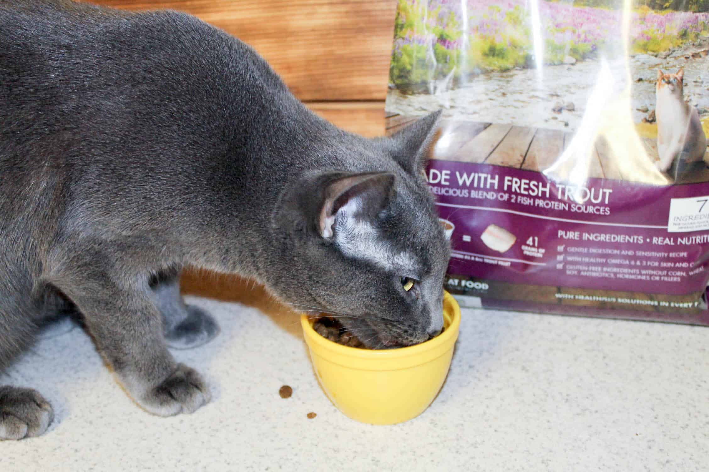 The Best Pet Food is Made by Pet People! #HealthyPetHappyPet