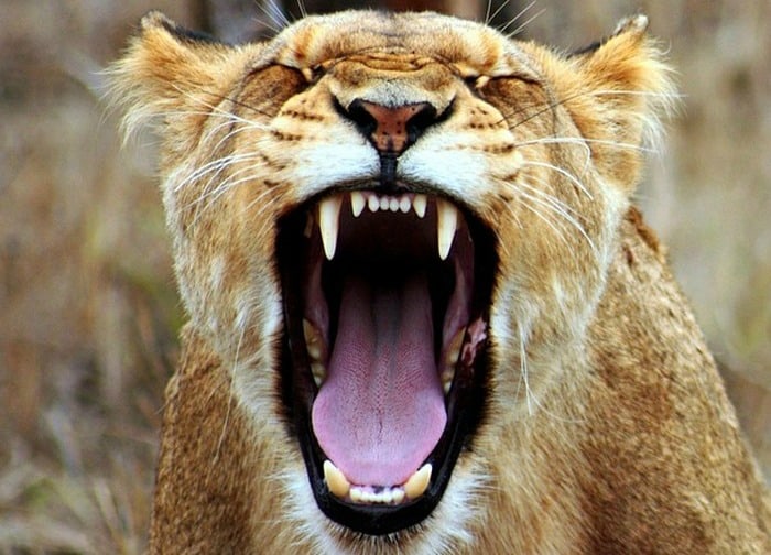 The One Little Trick that Helped Me Manage My Anger