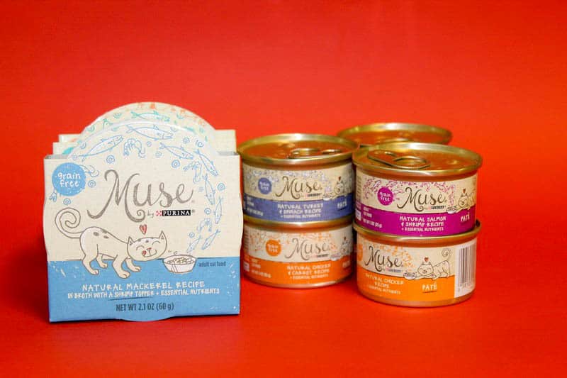 Bring Out Your Picky Cat's Inner Muse With Cat Food They'll Love ...
