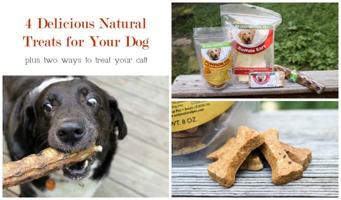 Naturally Wonderful Ways to Treat Your Pet this Fall with Only Natural Pet
