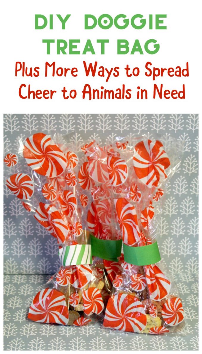 Want to spread a little extra cheer this holiday season? How about bringing some joy to a homeless pet with a DIY doggie bag? It's the perfect Joy Maker activity for the entire family.