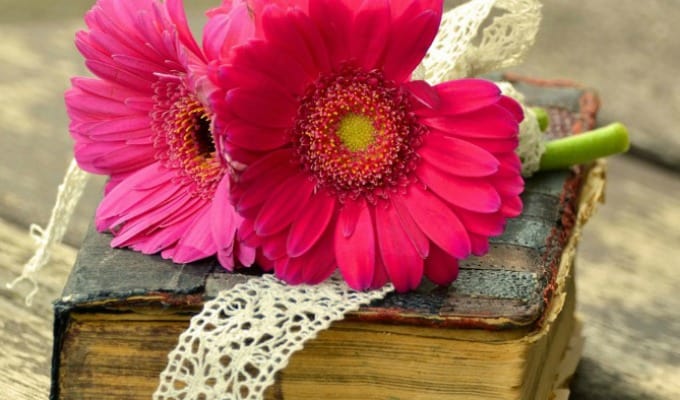 9 Gorgeous Instagram Accounts That Will Make Book Lovers So Happy