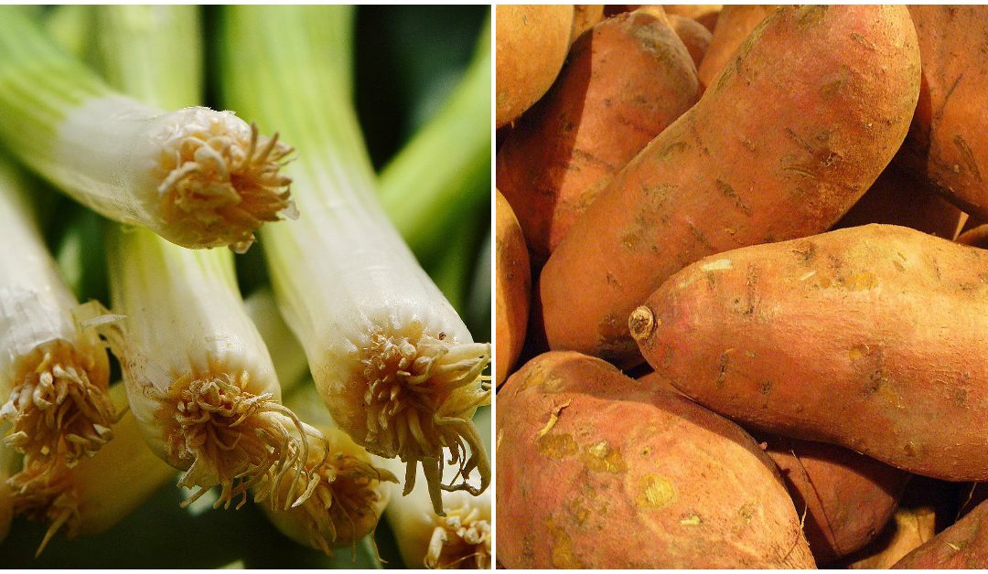 9 Vegetables You Can Grow From Kitchen Scraps
