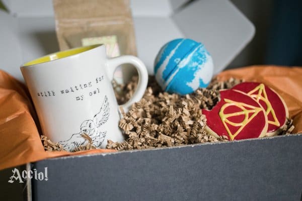 Must-Have Subscription Boxes for Harry Potter Fans