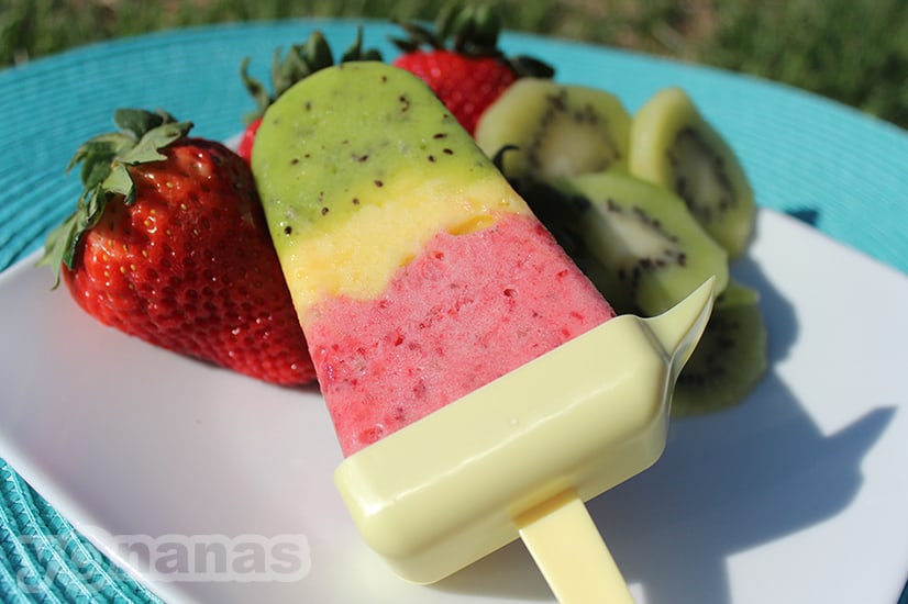 Chill off this Summer with Yonanas! - Mom vs the Boys