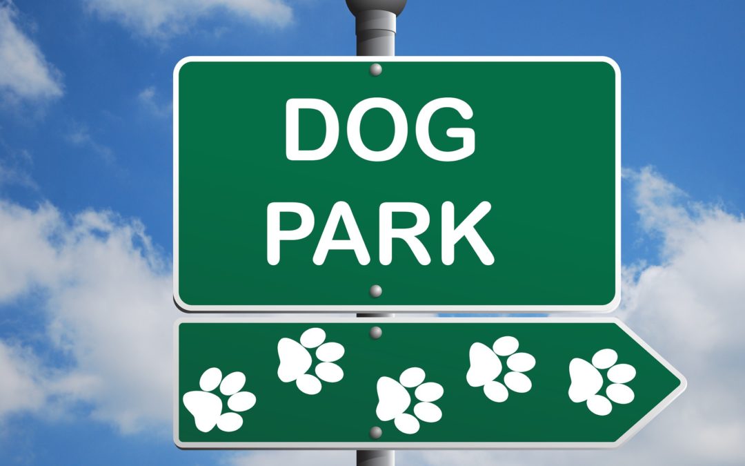 What Not to Do When Taking Fido to the Dog Park