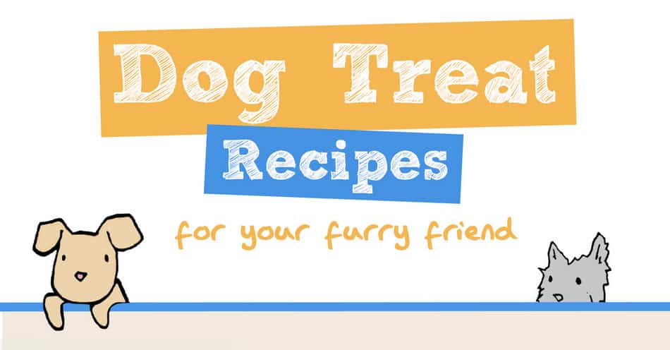 7 Super Easy Dog Treat Recipes for Your Furry Best Friend