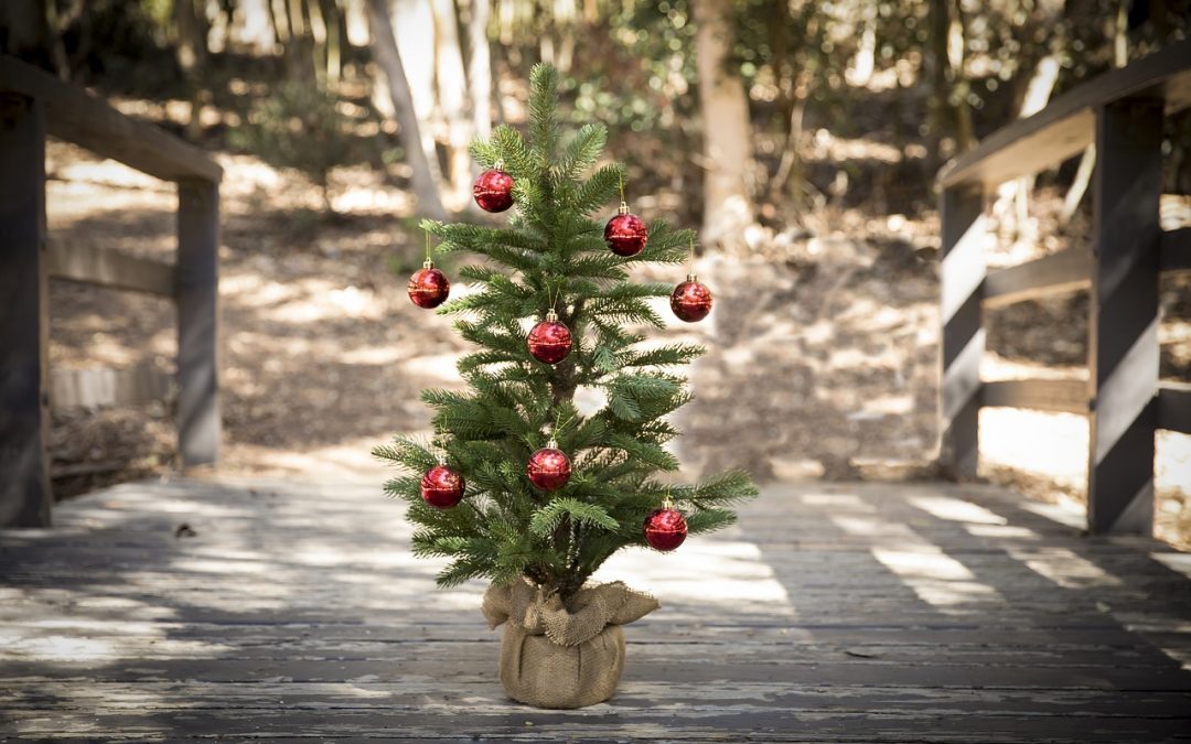 15 Crazy Cool Christmas Facts You Probably Didn’t Know