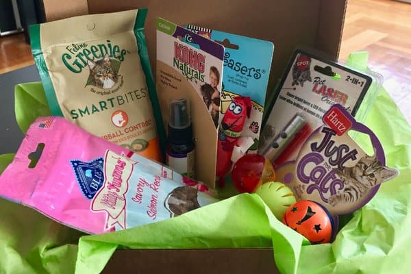 Treat your furry friend to fun surprises every month with these 10 pet subscription boxes that your cats and dogs will absolutely love! Let's check them out!