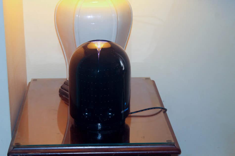 Check out This Maintenance-Free Way to Clean the Air in Your Home!