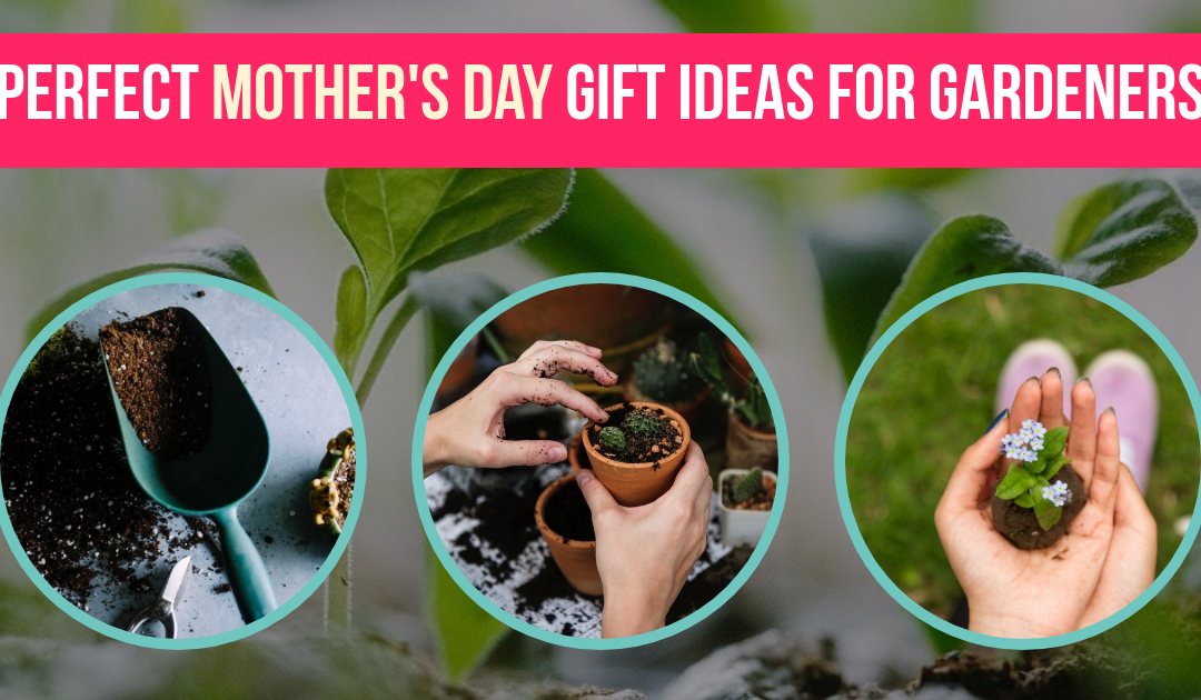 10 Perfect Mother’s Day Gift Ideas for Gardeners