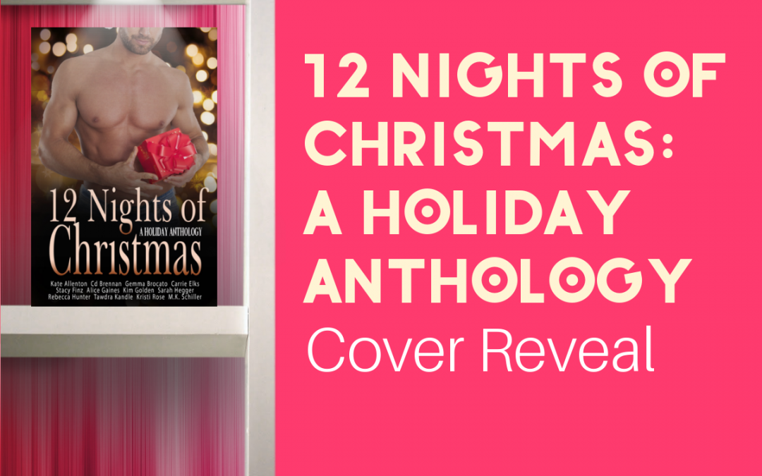Pre-Order Twelve Nights of Christmas & Help Stop Hunger! (Cover Reveal)