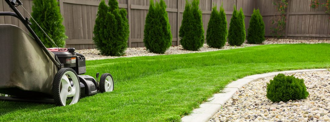 Top Rules Of (A Green) Thumb: Tips For Mowing Your Lawn