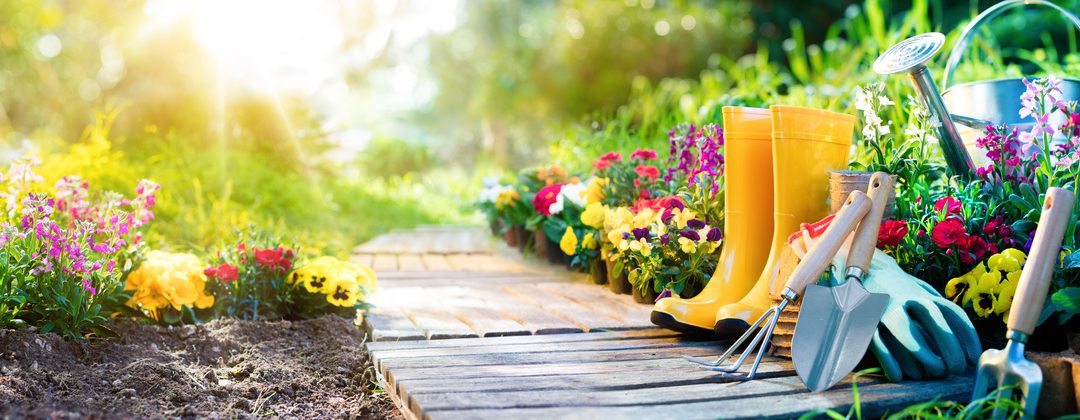 How To Prep Your Organic Vegetable Garden For Winter