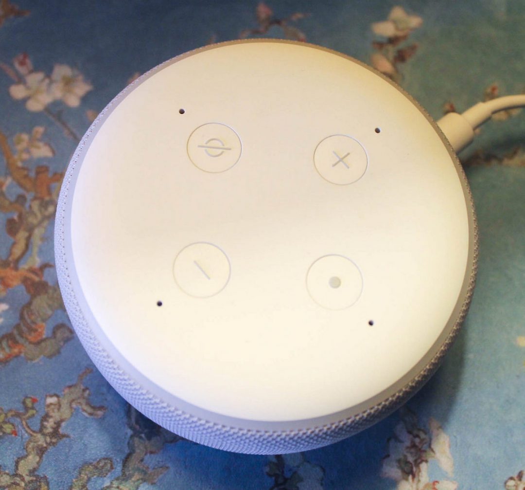 20 Cool Things To Do With Your New Echo Dot! | Pretty Opinionated