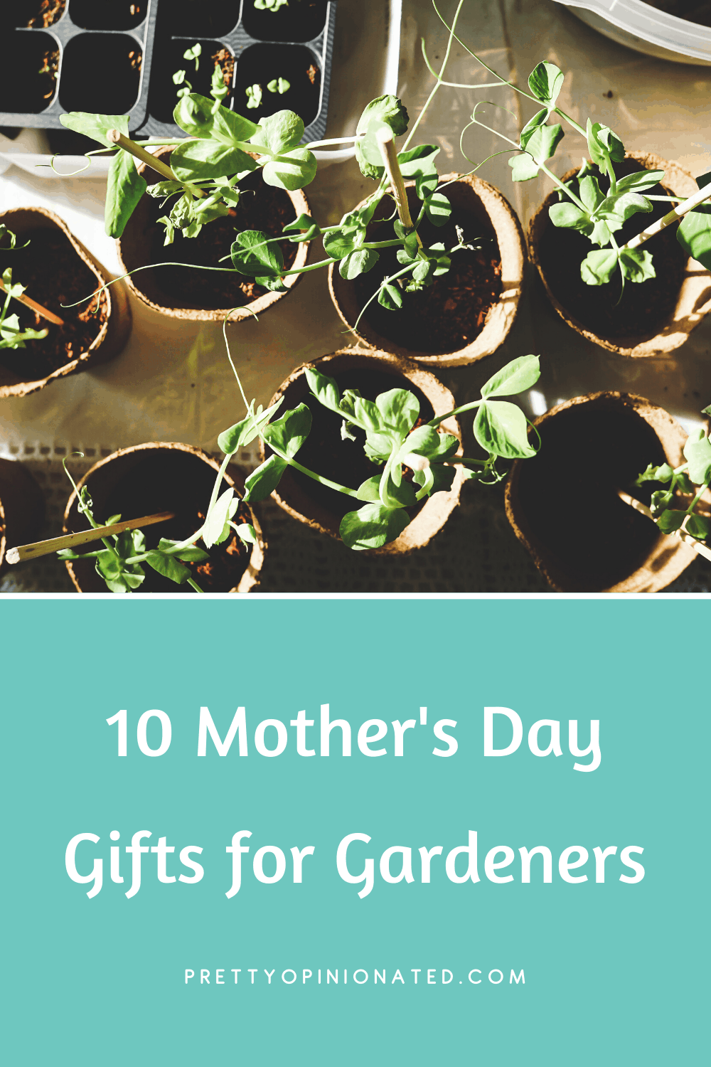 When you’re buying for someone who loves spending time in the garden, there’s a huge selection of great gift ideas out there. These 10 Great Gift Ideas for Mothers Who Love Gardening will help you find the perfect present!