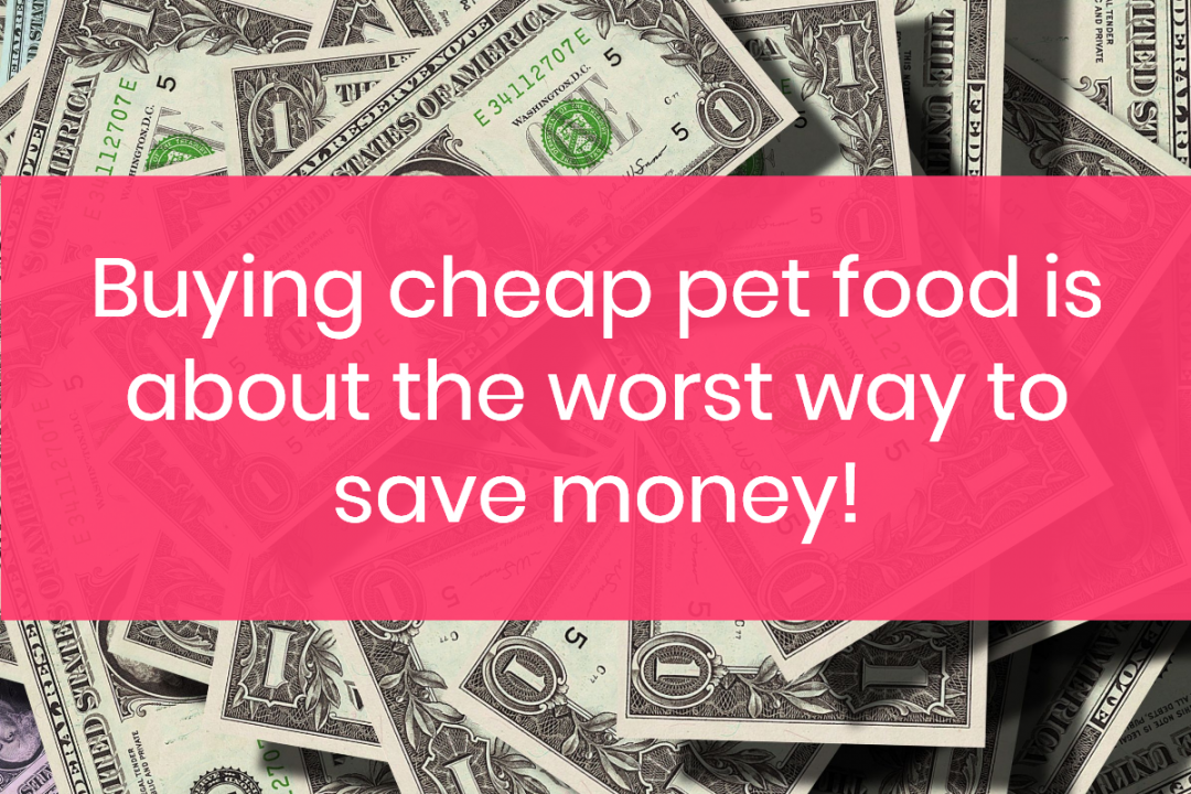 10 Ways You're Wasting Money (Even When You Think You're Saving It