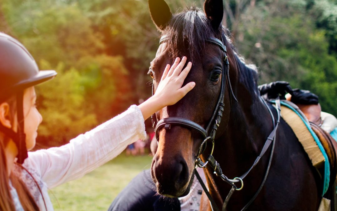 6 Great Gifts For the Horse Lover In Your Life