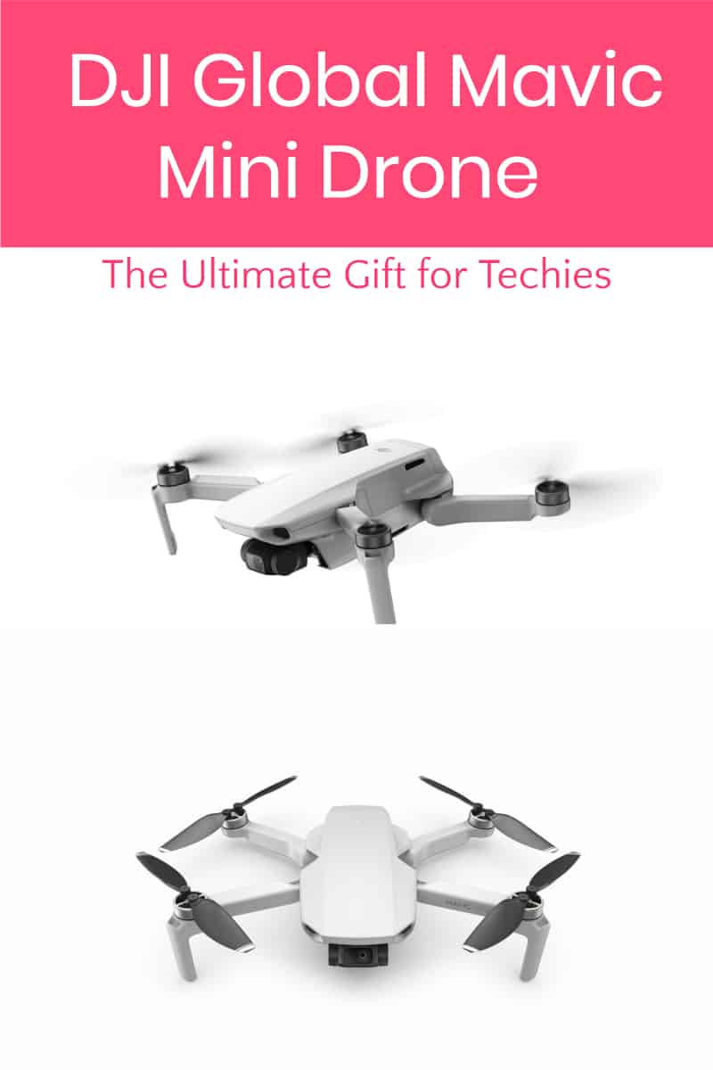 Want the ultimate holiday gift idea for tech lovers? Check out the DJI Global Mavic Mini drone! It may be tiny, but it's loaded with innovative features!