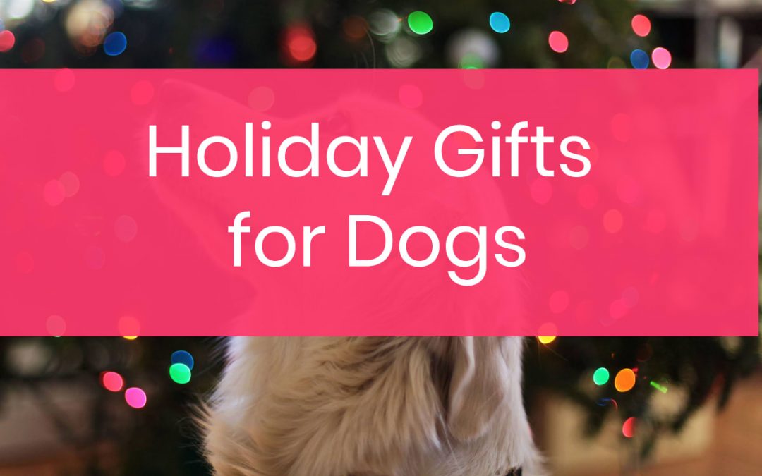 10 Holiday Gifts Your Dogs Are Absolutely Begging You to Get Them
