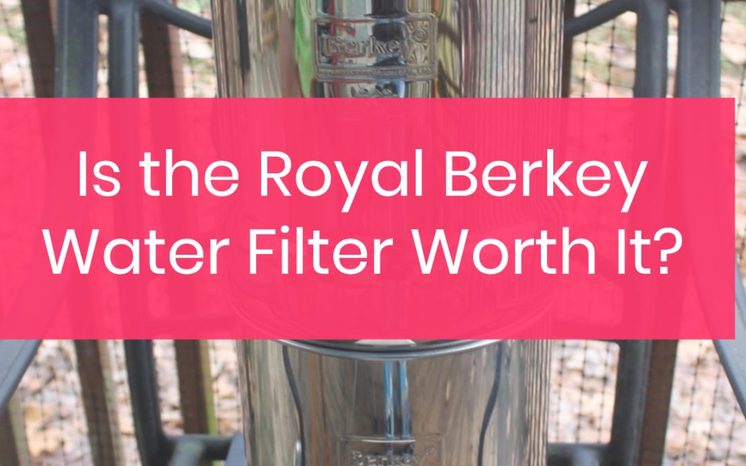 The Royal Berkey Water Filter System: Is it a Good Buy?