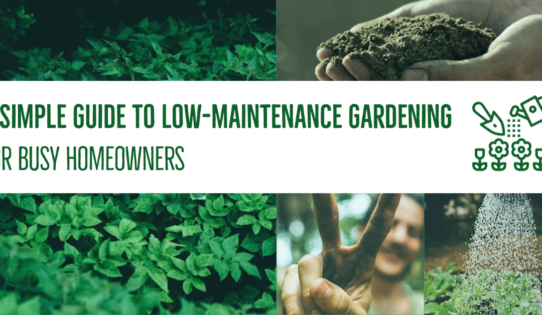 A Simple Guide to Low-Maintenance Gardening for Busy Homeowners