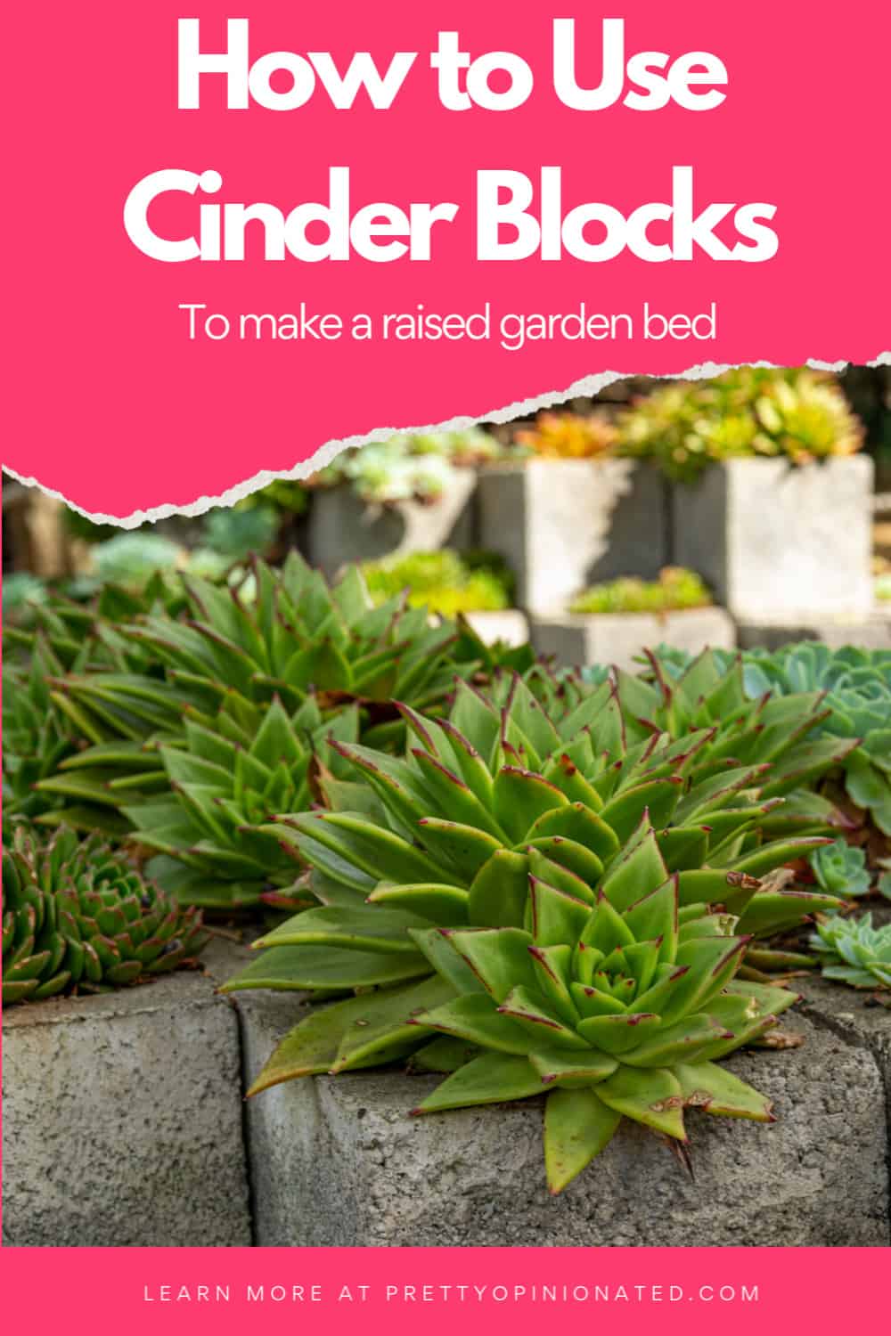 If you looked at that title and thought, "Ewww, that doesn't sound very classy!" then think again. Cinder blocks are actually incredibly versatile. With a little creativity, they make the perfect foundation for a raised garden bed.