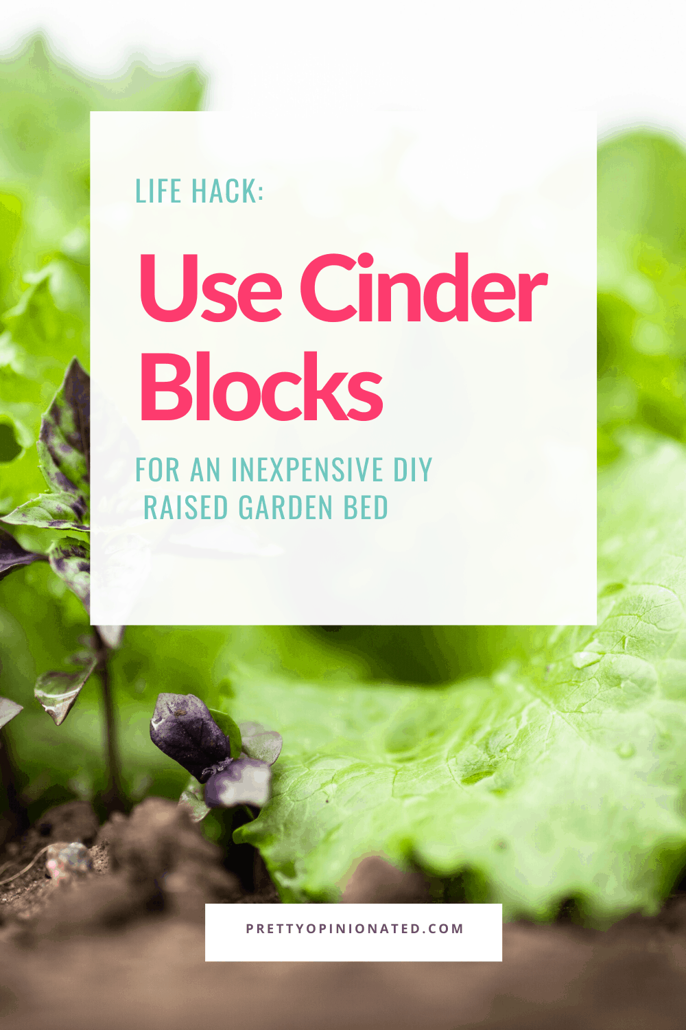 How to Use Cinder Blocks to Make a Raised Garden