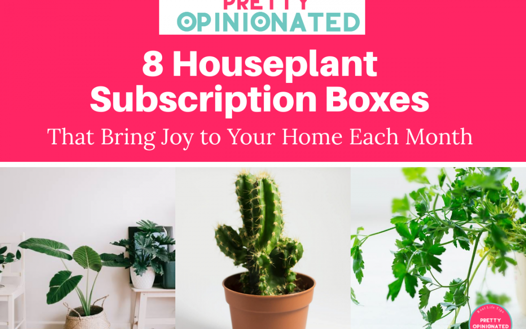 8 Flower & Houseplant Subscription Boxes That Bring Joy to Your Home Each Month