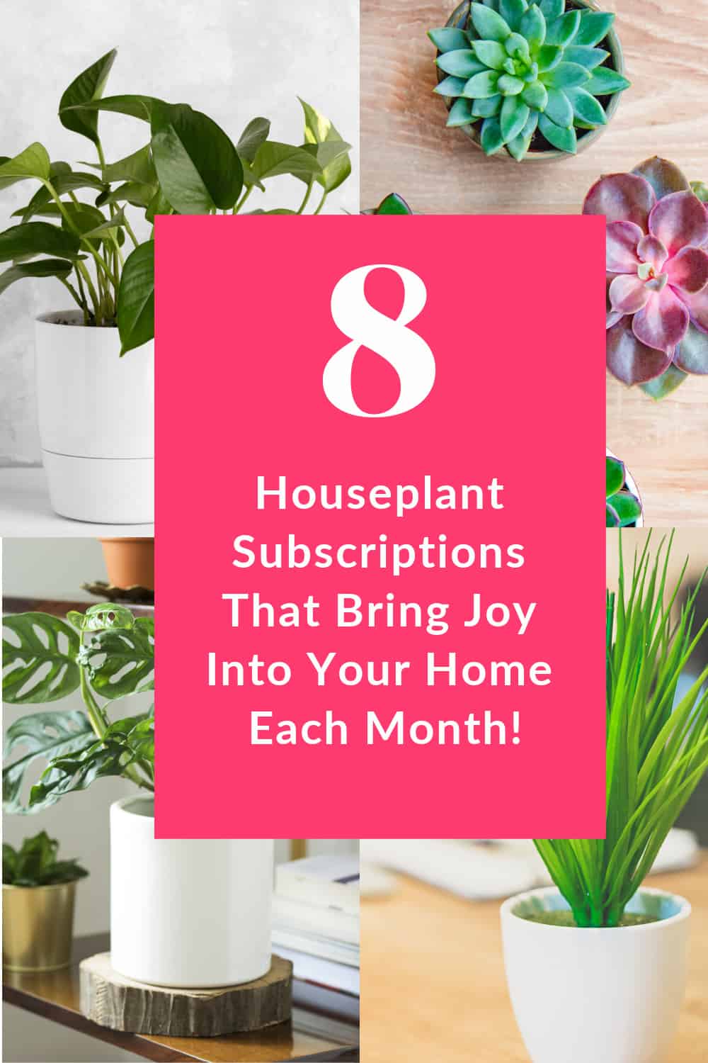 Want to bring a little more joy into your home each month? Grab one (or more) of these houseplant subscription services! From darling succulents to uncommon finds, they'll brighten up your home in a flash. Check them out!